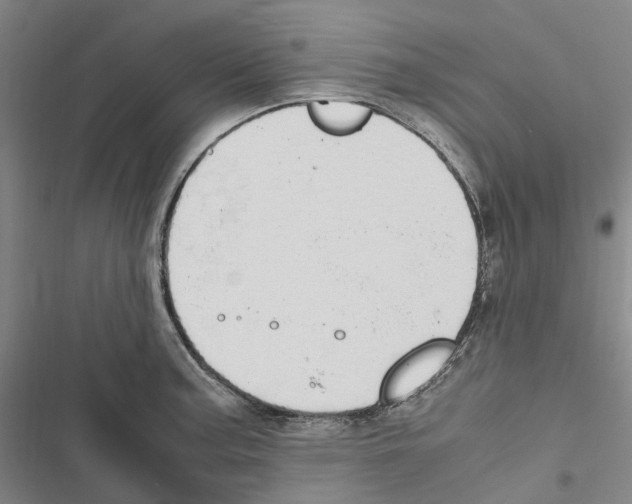 X0000116841187201001151241