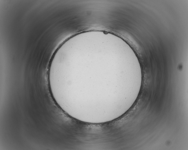 X0000116841190201001151241