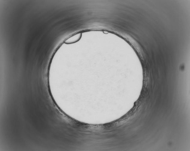 X0000116841191201001151241