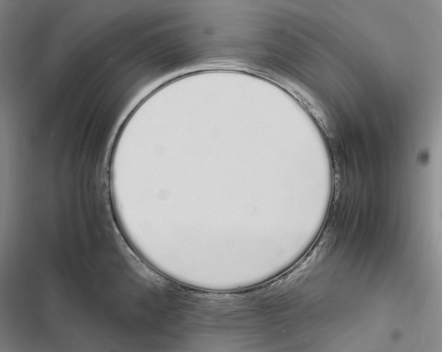 X0000116841192201001151241