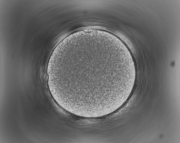 X0000116841193201001151241