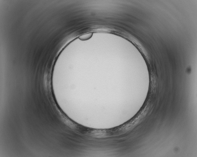 X0000116841194201001151241