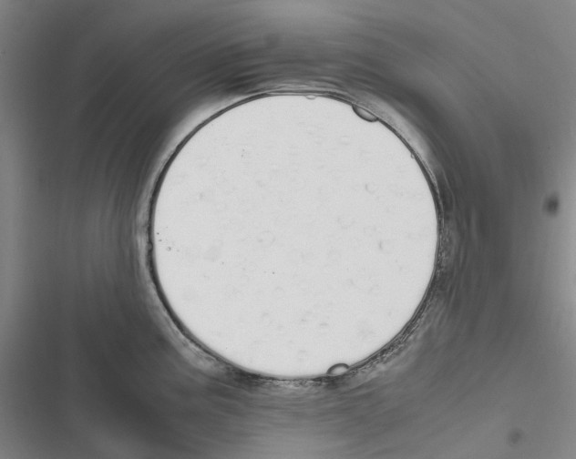 X0000116841195201001151241