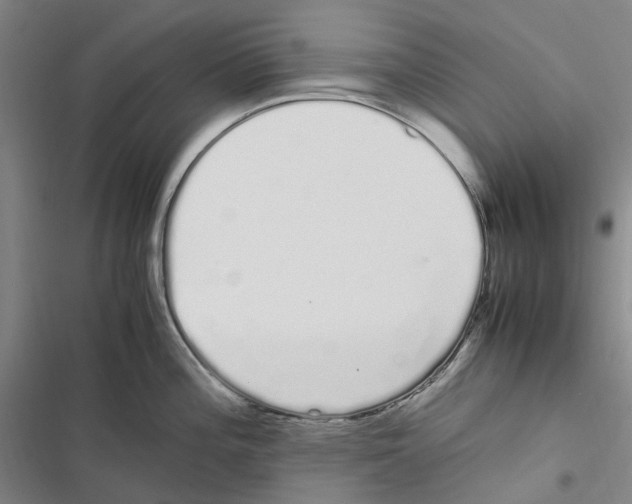 X0000116841196201001151241