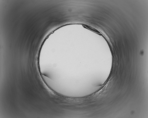 X0000116841197201001151240