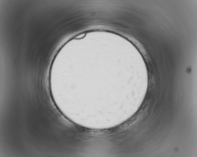 X0000116841199201001151240