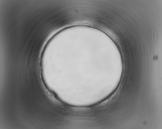 X0000116841200201001151240