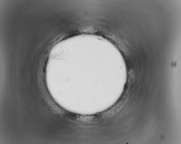 X0000116841201201001151240