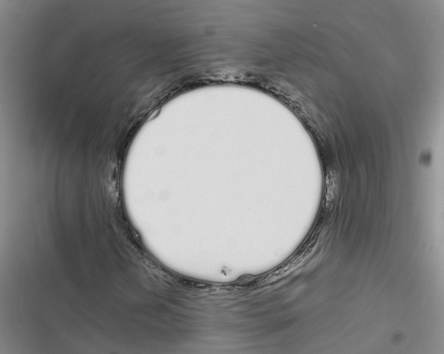 X0000116841202201001151240