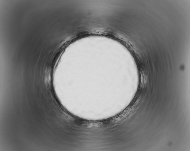 X0000116841204201001151240