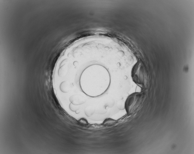 X0000116841205201001151240