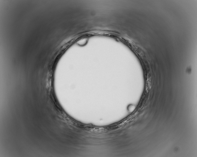 X0000116841206201001151240