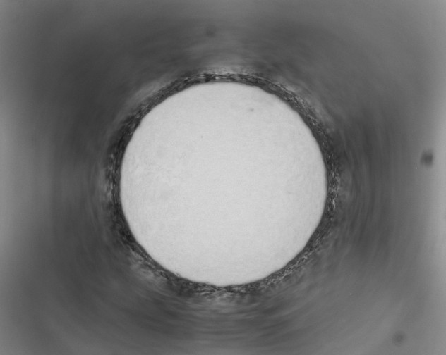 X0000116841207201001151240