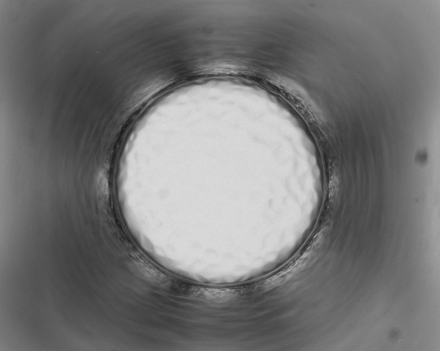 X0000116841209201001151240