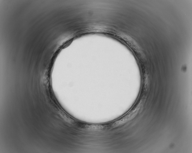 X0000116841210201001151240