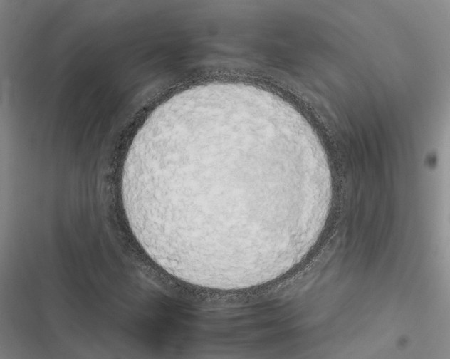 X0000116841211201001151240