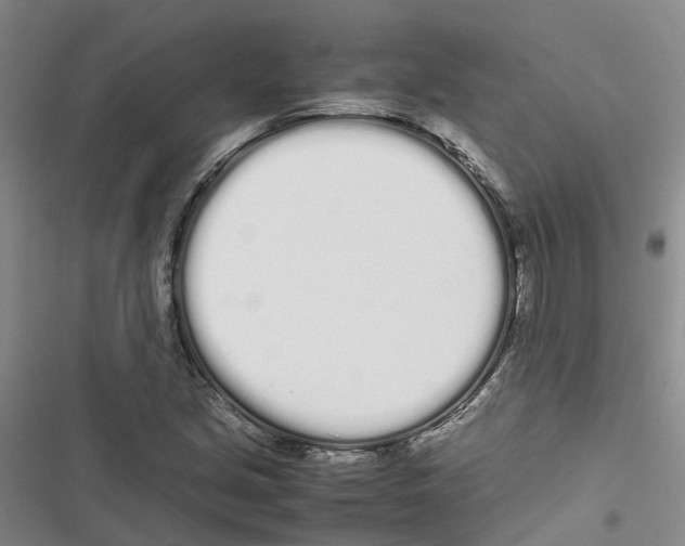 X0000116841213201001151240