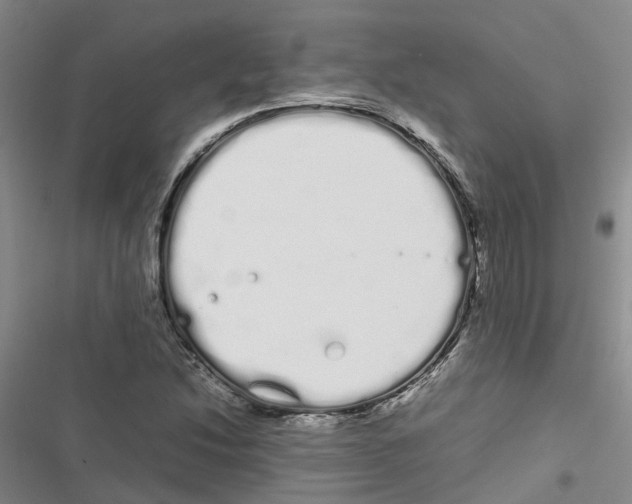 X0000116841214201001151240