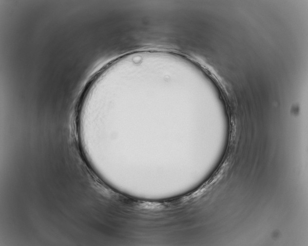 X0000116841215201001151240