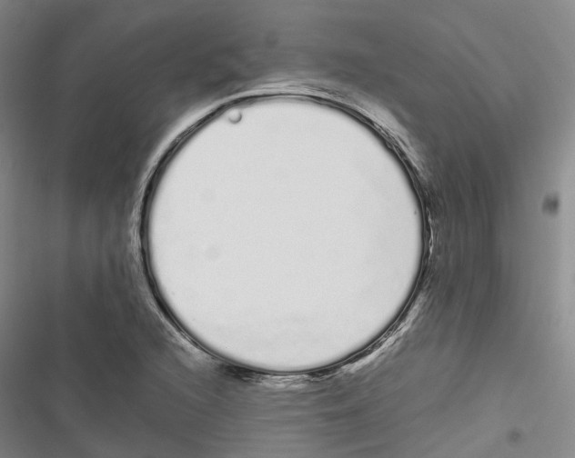 X0000116841216201001151240