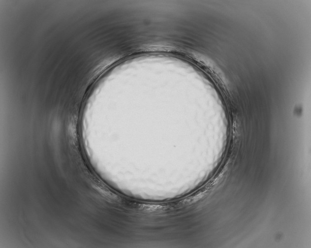 X0000116841217201001151240