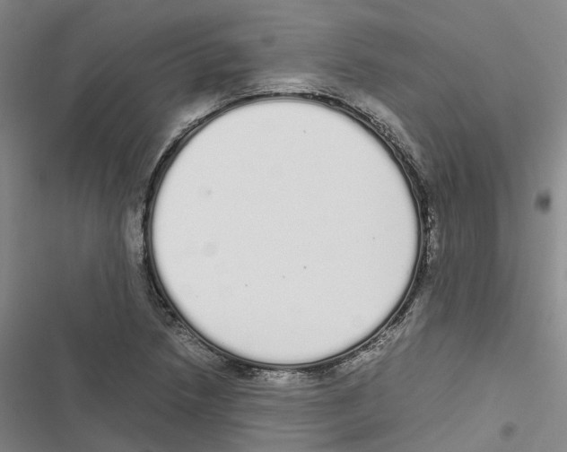 X0000116841218201001151240