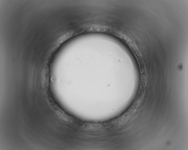 X0000116841219201001151240