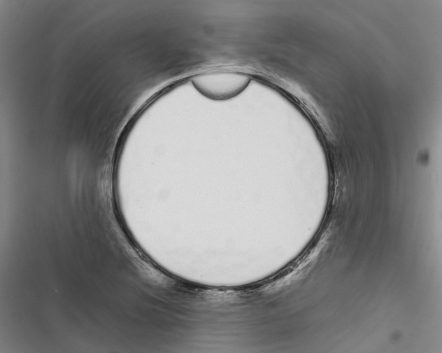 X0000116841220201001151240