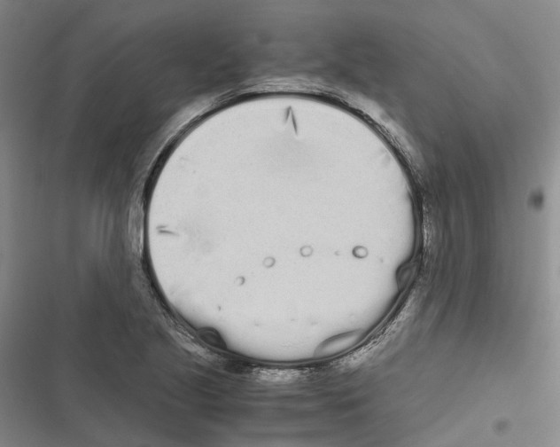 X0000116841221201001151240