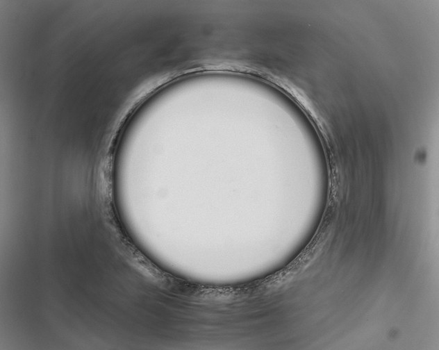 X0000116841223201001151240