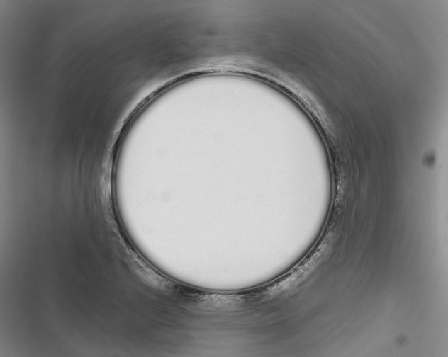 X0000116841224201001151240