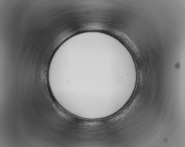 X0000116841225201001151240