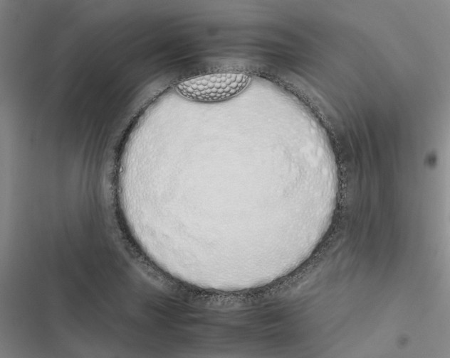 X0000116841227201001151240