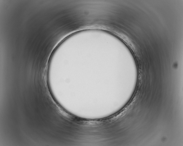 X0000116841228201001151240