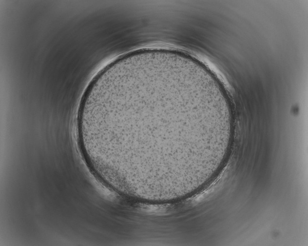 X0000116841229201001151240