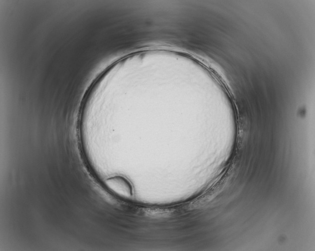 X0000116841231201001151240