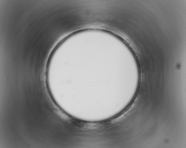 X0000116841232201001151240