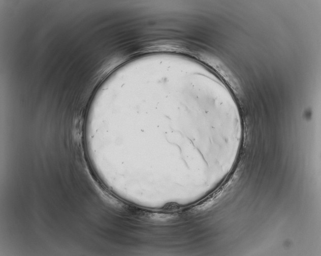 X0000116841233201001151240