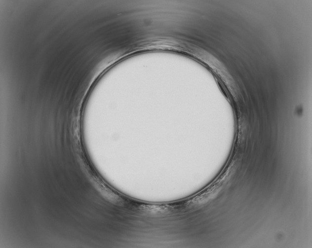 X0000116841234201001151240