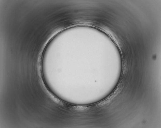 X0000116841235201001151240