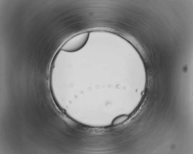 X0000116841236201001151240