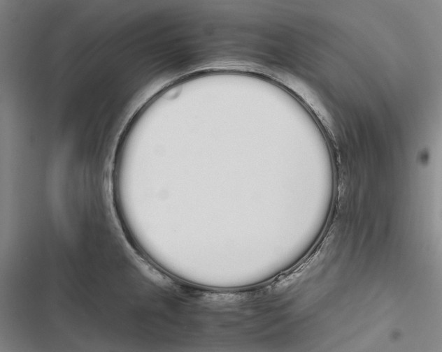 X0000116841237201001151240