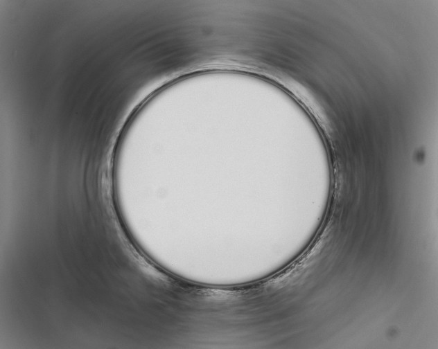 X0000116841238201001151240