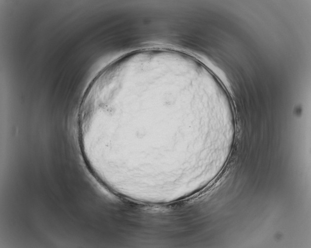 X0000116841239201001151240