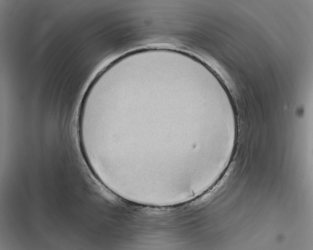 X0000116841240201001151240