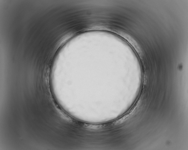 X0000116841241201001151240