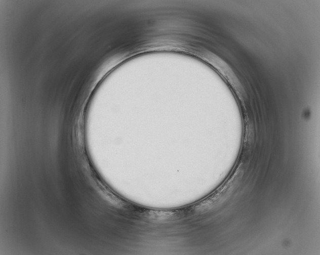 X0000116841242201001151240