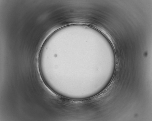 X0000116841243201001151240