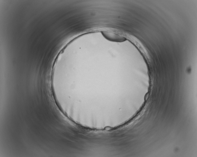 X0000116841244201001151240