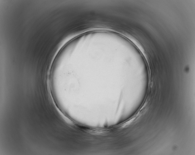 X0000116841245201001151240